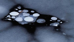 “发现最美的冬季”入选作品展