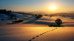 “冬日印象”入选作品展