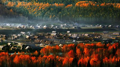 “秋色斑斓”入选作品展