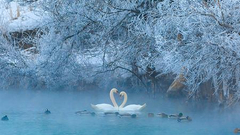 “冬韵之美”入展作品展