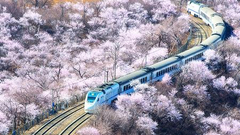 春天的颜色”入选作品展