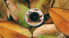 “2016我拍下的最美照片”入选作品展