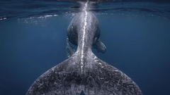 2018美国国家地理旅行者摄影大赛