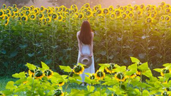 "你好世界"周选9