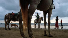 2018LensCulture街拍摄影比赛