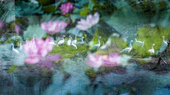 “遇见夏天”入选作品展