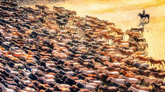 "你好,世界!"周选第26期