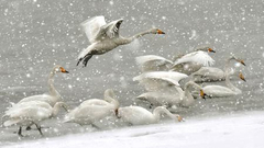 “你好,世界!”赛事第7期