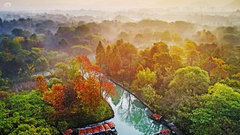 《西溪秋色》 摄影：@yicaomin