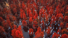 《秋意天堂》 摄影：@南京夜雾