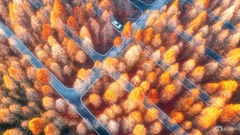 《纵横驰骋》 摄影：@逆风飞翔更有力量