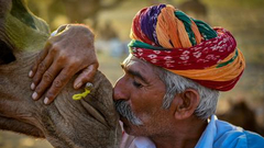 “你好,世界!”赛事第9期