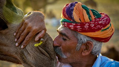 "你好,世界!"周选第38期