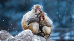 2018冬日之约入选作品展