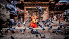 "你好,世界!"周选第45期