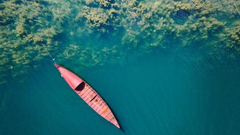 你好世界周选第50期