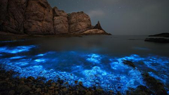 “你好,世界!”赛事第12期