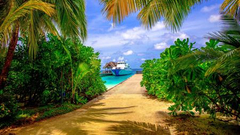 你好世界周选第55期