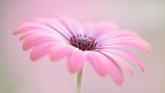 2019IGPOTY获奖作品