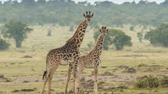 你好世界周选第60期