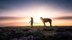 你好世界周选第61期