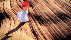 你好世界周选第65期