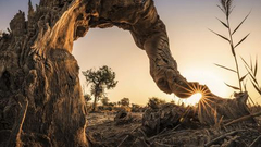 你好世界周选77期