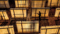 你好世界周选76期