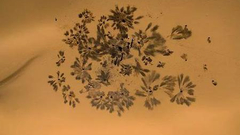 2019第三届映纪实影像奖揭晓