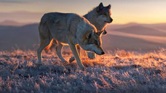 2020发现最美冬季入选作品