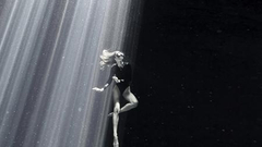 2020年度水下摄影师大赛