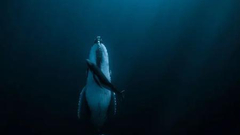 2020哈姆丹摄影大赛