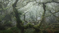 2020年世界风光摄影师大赛