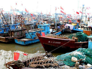 拔除排污暗管 燕尾港鲈鱼又回来了