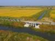 “北大仓”探索乡村振兴新路径 新时代唱响“新农歌”