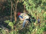 中国游客泰国游玩扯象尾被追 领队为救人被大象踩