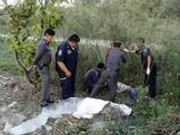 我驻泰大使馆:要求泰方妥善保管被大象踩死者遗体