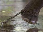 中国导游泰国救人被大象踩死 律师：不属见义勇为