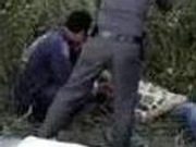 媒体：大象为何发怒踩死中国领队？原因扑朔迷离