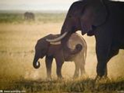 该团游客24日晚回重庆 死者家属首次在媒体公开表态