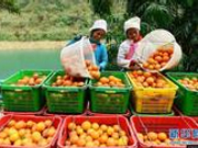 专家：2018年是新周期起点 预计GDP增速7%左右