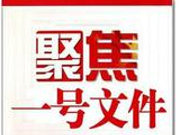 中共中央国务院实施乡村振兴战略的意见(全文)