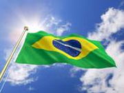 中国驻巴西使馆提醒在当地中国公民注意防范黄热病