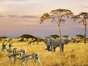 中国驻南非使馆提醒在南中国公民加强春节期间安全防范