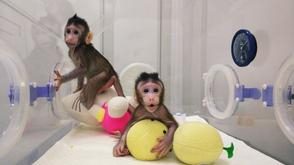 今后是否会克隆人？