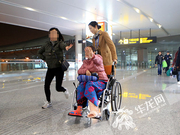 重庆领队被大象踩死同团游客:发疯大象冲向我老婆