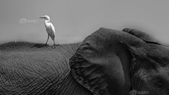 "你好世界"周选5