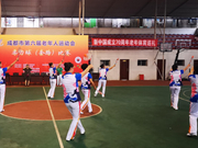 成都市第六届老年人运动会柔力球（套路）比赛在蒲江举行