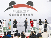 成都熊猫亚洲美食节开幕 川菜牵手亚洲美食 千滋百味 等你来品
