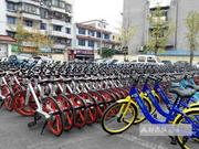 华阳城管收缴数百共享单车